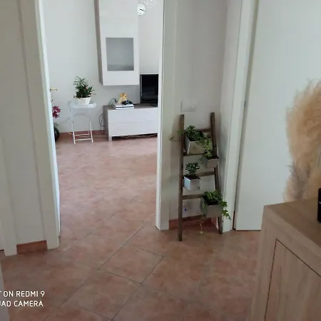 Nuova Emilia Dogliani
